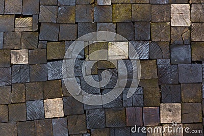 Pavement texture of wooden blocks Stock Photo