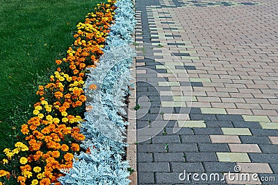 Paving pattern with rectangular shape and brown color. Stock Photo