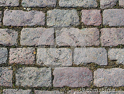 Paving slabs with grass. Stock Photo