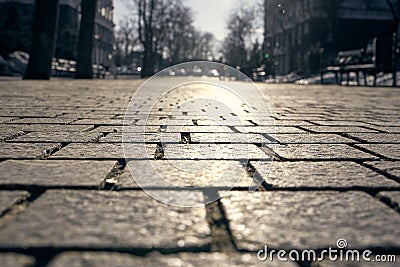 Paving tiles background. Paving slabs close-up on the background of streets, trees and sky in blur. Stock Photo