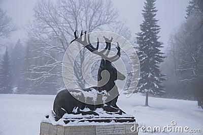 Bronze deer in profile in snow and frost in the winter Editorial Stock Photo