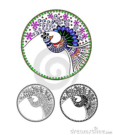 Pavo cristatus. Peacock, Peafowl, cartoon image. Black and white and color variation. Possibility to paint according to your idea. Vector Illustration