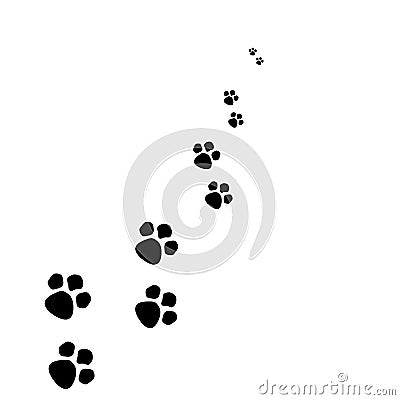 Paw Stock Photo