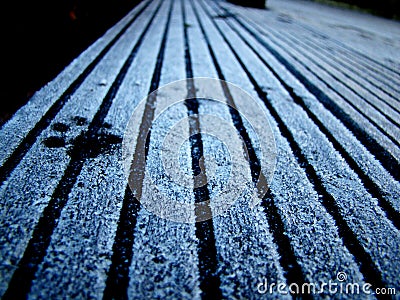 Paw print on the ice Stock Photo