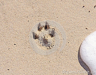 Pawprint at the beach Stock Photo