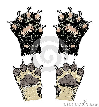 Paws of animals or footprints and wildlife. hands of dog, bear, cat and hoof. Domestic or farm or pets. Traces of Vector Illustration