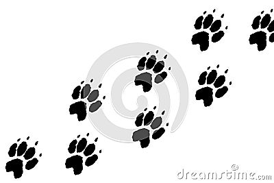 Paws footprints Stock Photo