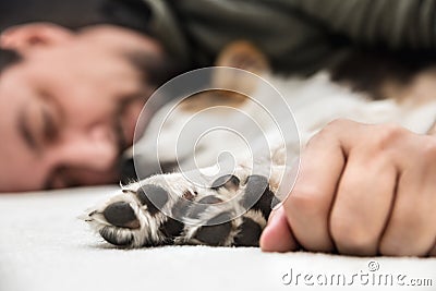 Paws from a puppy dog and maleÂ´s hand in the front, man and whelp relaxing Stock Photo