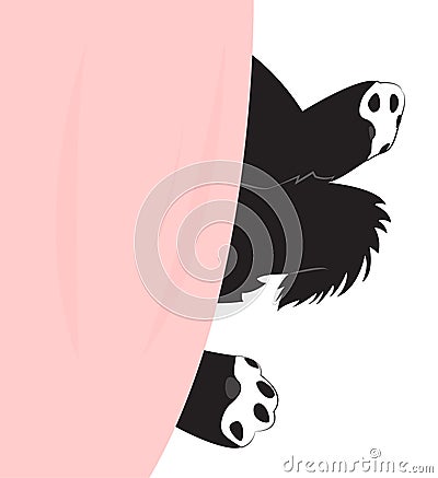 Paws of the puppy Vector Illustration