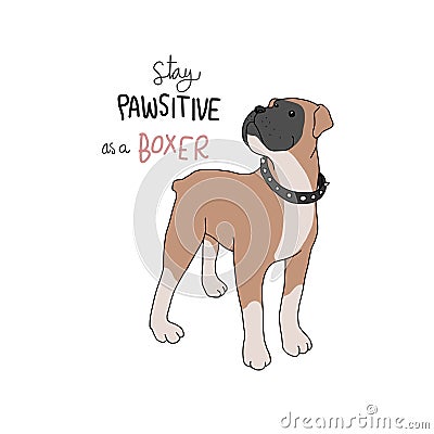 Stay pawsitive as a boxer dog cartoon vector illustration Vector Illustration