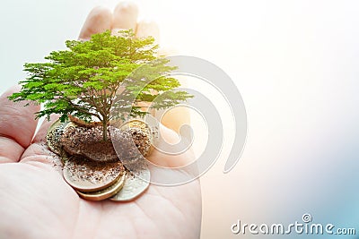 Pay money donation for green eco saving environment and earth ecology sustainable Stock Photo