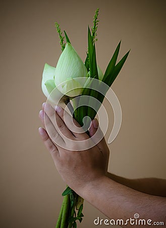 Pay respect for apologize in Thai style Stock Photo