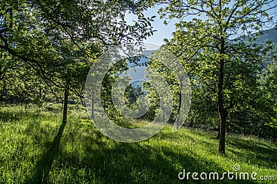 Grand viopis,drome,france Stock Photo