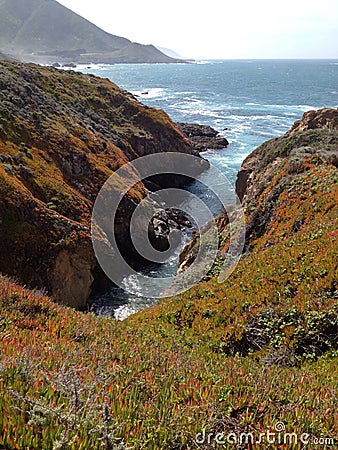 Pch Shoreline Stock Photo