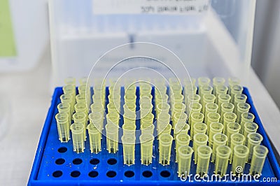 PCR container hotplate with array of test tubes containing sampled DNA for polymerase Stock Photo