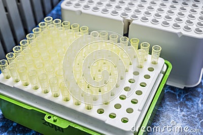 PCR container hotplate with array of test tubes containing sampled DNA for polymerase Stock Photo