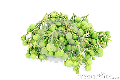 Pea Eggplants Stock Photo