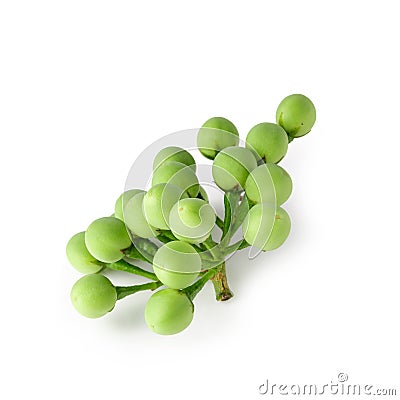 Pea Eggplants or turkey berry isolated over white background Stock Photo