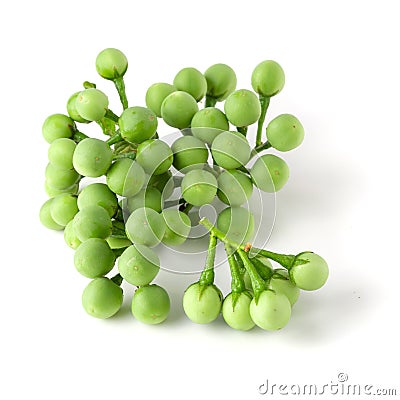 Pea Eggplants or turkey berry isolated over white background Stock Photo