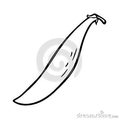Pea pod close. Vector black vintage engraving. Isolated on white background Vector Illustration