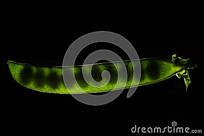 Pea pod with peas inside Stock Photo