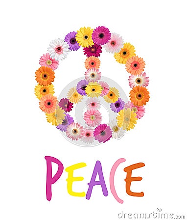 Peace Daisies Stock Photo