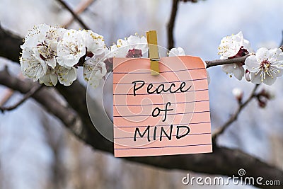 Peace of mind in memo Stock Photo