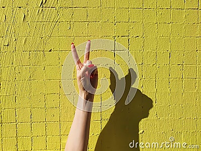 Peace sign hand. Woman`s hand makes two fingers up gesture on neon green yellow background. Welcome gesture and rabbit shadow Stock Photo