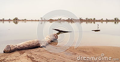 Peaceful african landscape near Sine Saloum, Senegal Stock Photo