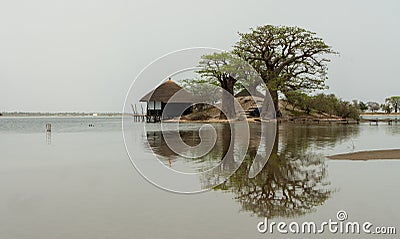 Peaceful african landscape near Sine Saloum, Senegal, Africa Stock Photo