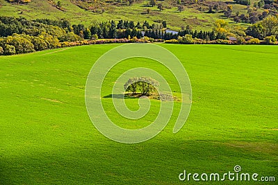 Peaceful autumn green meadow, beautiful nature Stock Photo