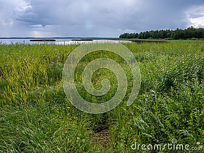 Peaceful beach dunegrass and storm clouds Stock Photo