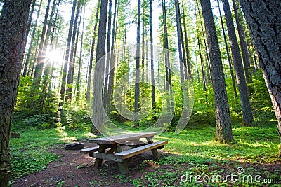 Peaceful campground or picnic spot Stock Photo