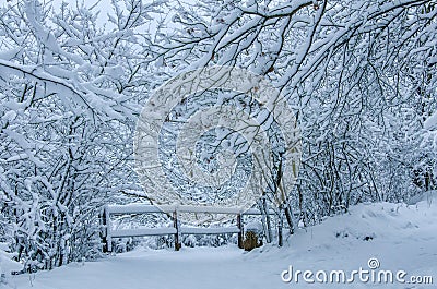 A peaceful corner with a fence in a snow covered forest of the Harz Stock Photo