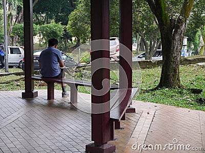 Peaceful garden forest landscapes Editorial Stock Photo