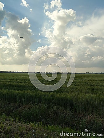 Peaceful Italian countryside & x22;after rain & x22; Stock Photo