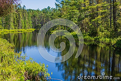 Peaceful lagoon with forrest reflection Stock Photo