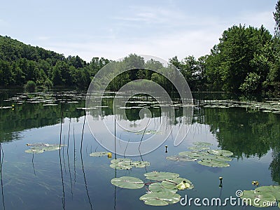 Peaceful lake with clouds and trees reflected in water Stock Photo