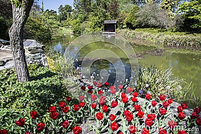 Peaceful lakeside scene in Yorkshire, England Stock Photo