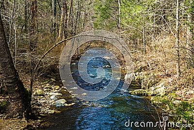 A Peaceful Mountain Trout Stream in the Blue Ridge Mountains Stock Photo