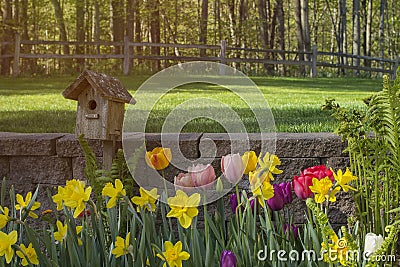 Peaceful pool reflections amid mood lighting and lush greenery g Stock Photo