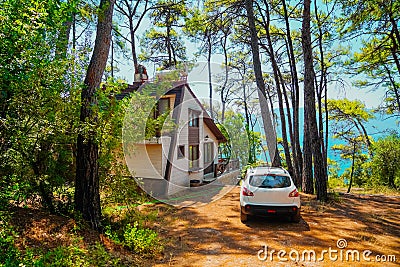 Peaceful residential and car under the trees Stock Photo