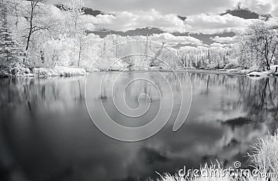 Peaceful river view in infrare Stock Photo