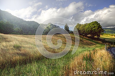 Peaceful rural landscape in Azores, Portugal Stock Photo