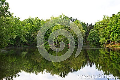 Peaceful summer morning reflection of woods forest in a pond lake Stock Photo