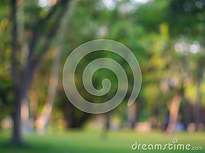 Peaceful tree line in the park. Stock Photo