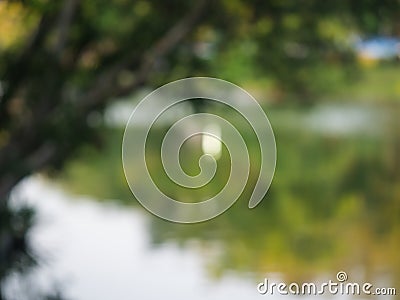 Peaceful tree line in the park. Stock Photo