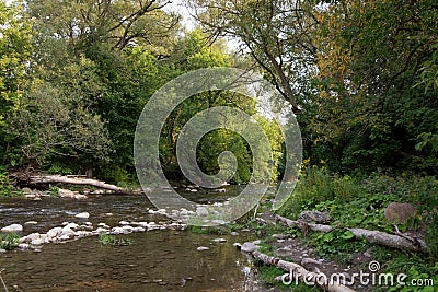 Peaceful trout stream with tree lined banks Stock Photo