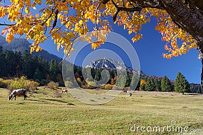 Autumn landscape with beautiful peaceful place Stock Photo