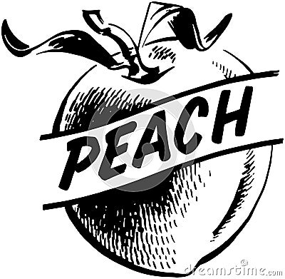 Peach Vector Illustration